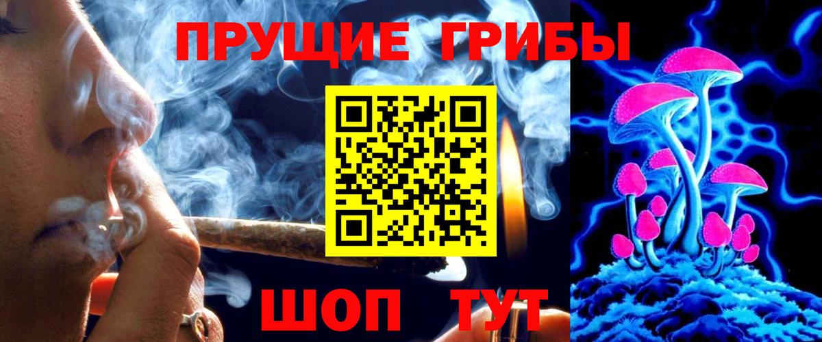 Псилоцибиновые грибы мицелий Майкоп