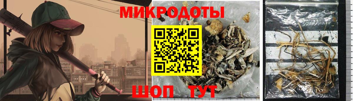 Псилоцибиновые грибы GOLDEN TEACHER  сколько стоит  Майкоп  Вход с VPN 