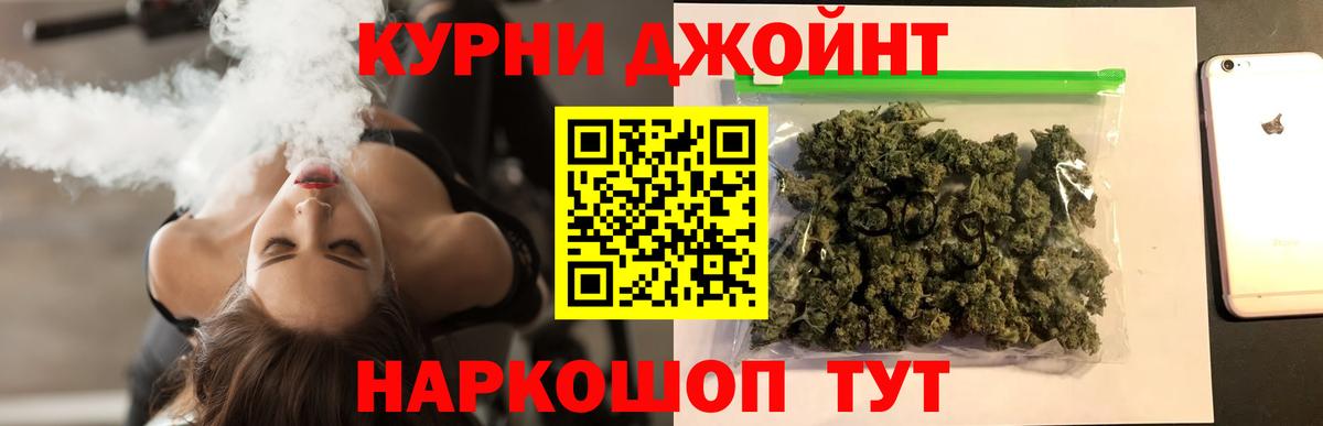 Марихуана сатива Майкоп
